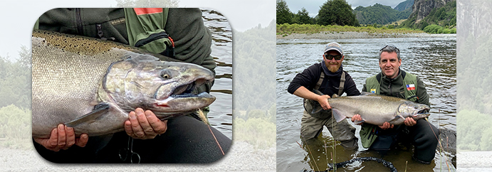 Contact Fishing Patagonia