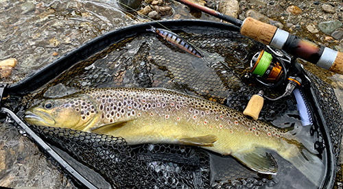 Pêche de truite en Patagonie